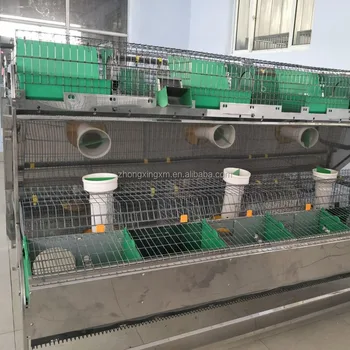 rabbit breeder cages