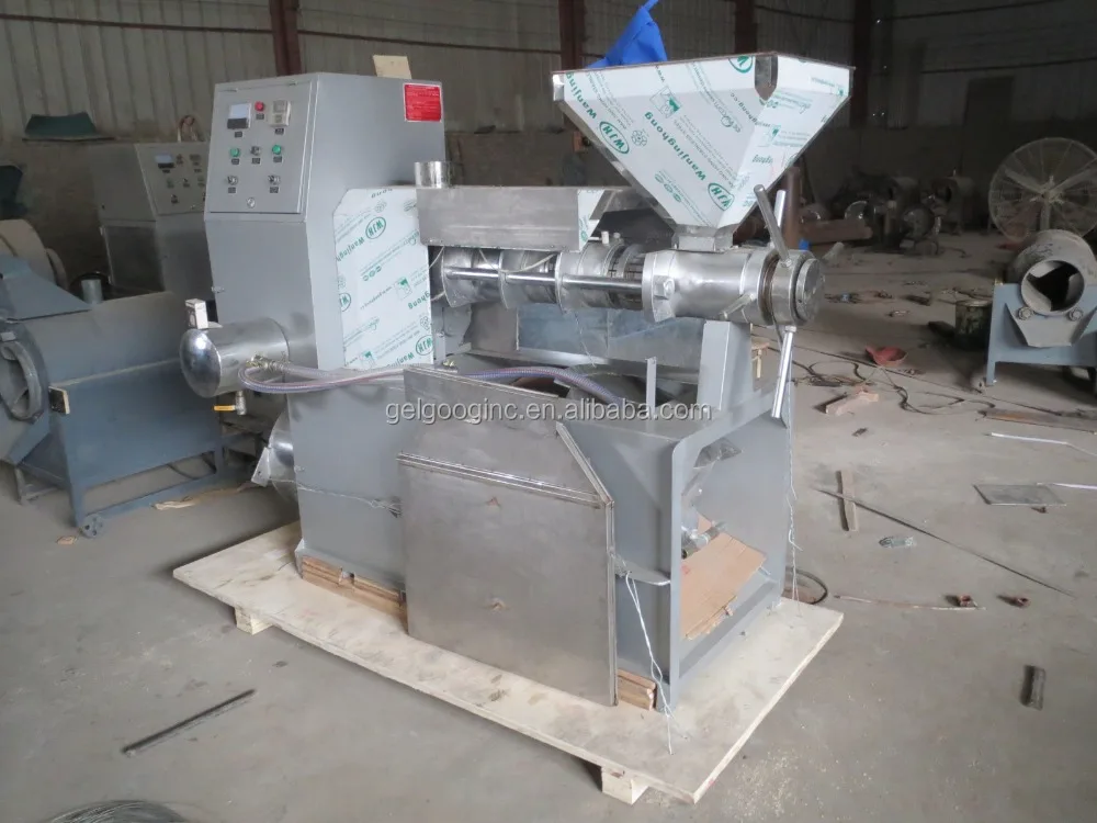 Stainless Steel Avocado Camellia Olive Palm Seed Almond Cold Press Sesame Oil Extraction Virgin Coconut Oil Extracting Machine