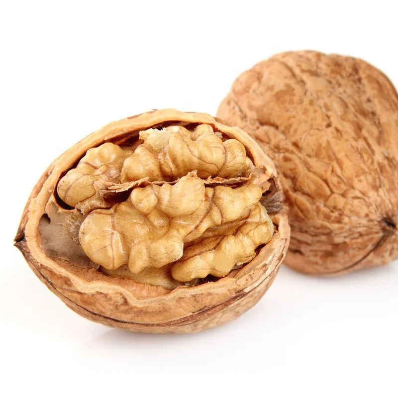 Raw organic bulk nuts white walnuts in shell, Wholesale Nuts & Kernels products on