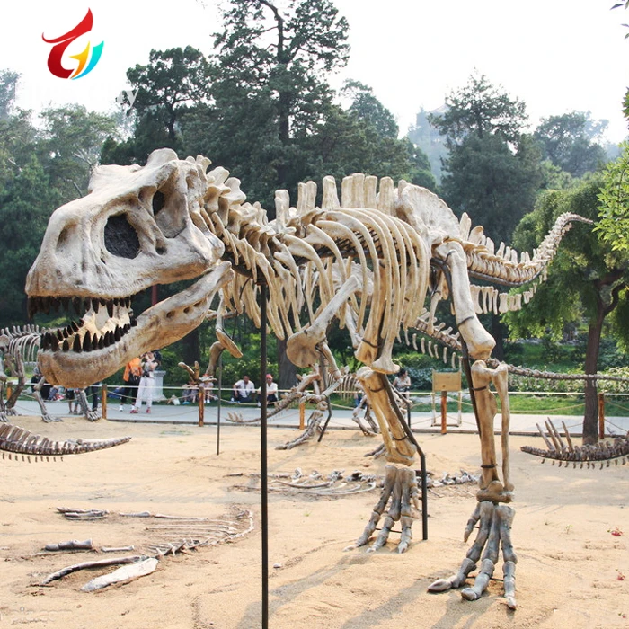 Escultura De Esqueleto De Dinosaurio Animado Para Parque,Tamaño Real,5m -  Buy Esqueleto De Dinosaurio,Esqueleto De Dinosaurio Animado,Escultura De  Esqueleto De Dinosaurio Product on 