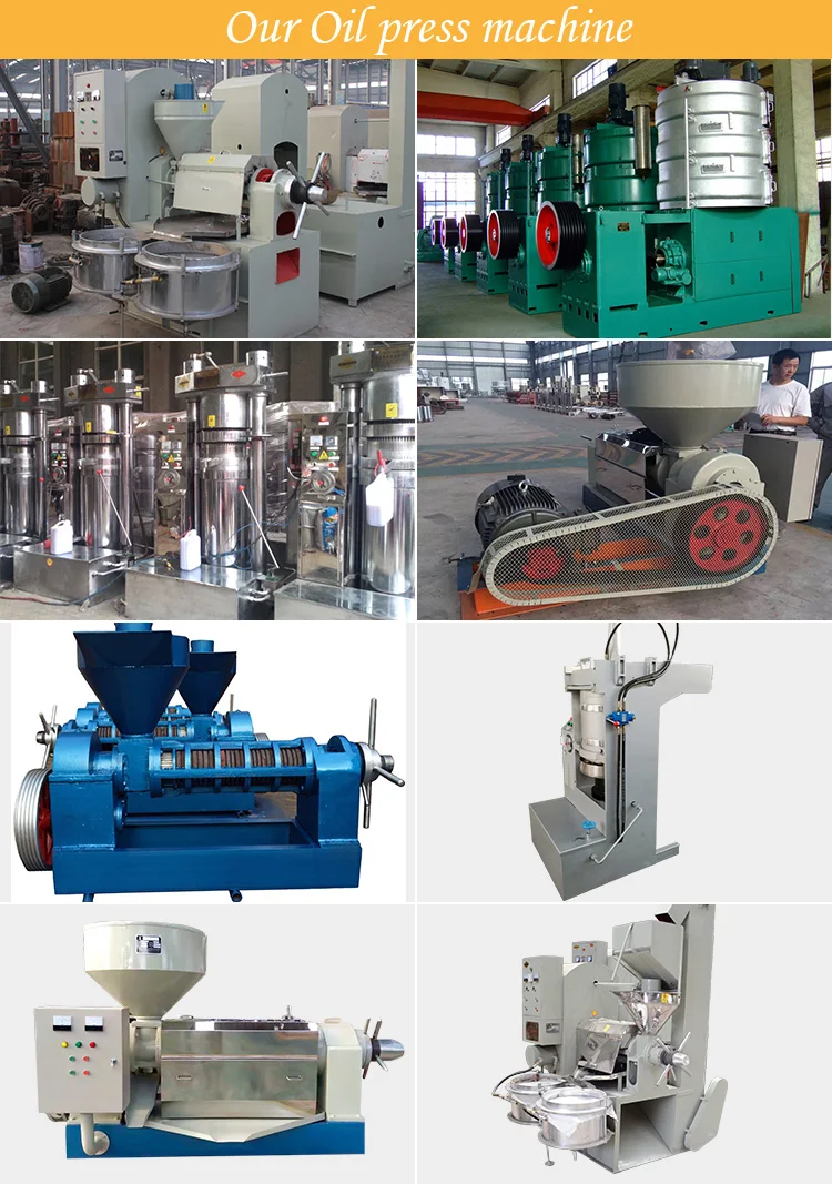 China Sale Shea Butter Processing Equipment And Shea Nut Coconut Oil