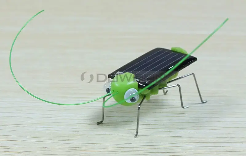 sloar grasshopper 8015 131216 (5).JPG