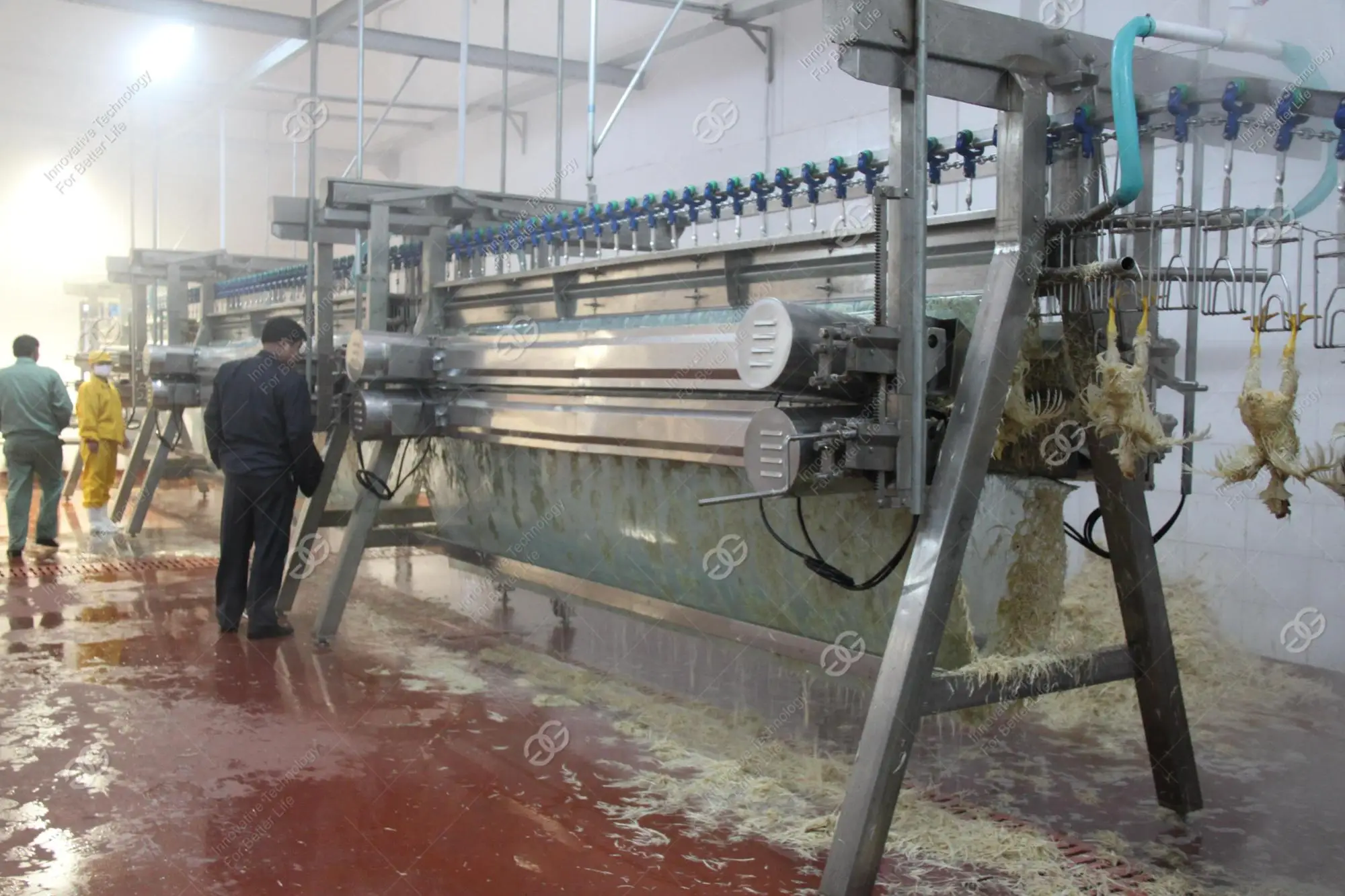 New Automatic Small Mobile Slaughter Unit Machinery Slaughtering Line