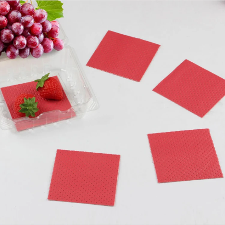 Home Use  Food Absorbent Pad For Fish Poultry Meat Fruits and Vegetables