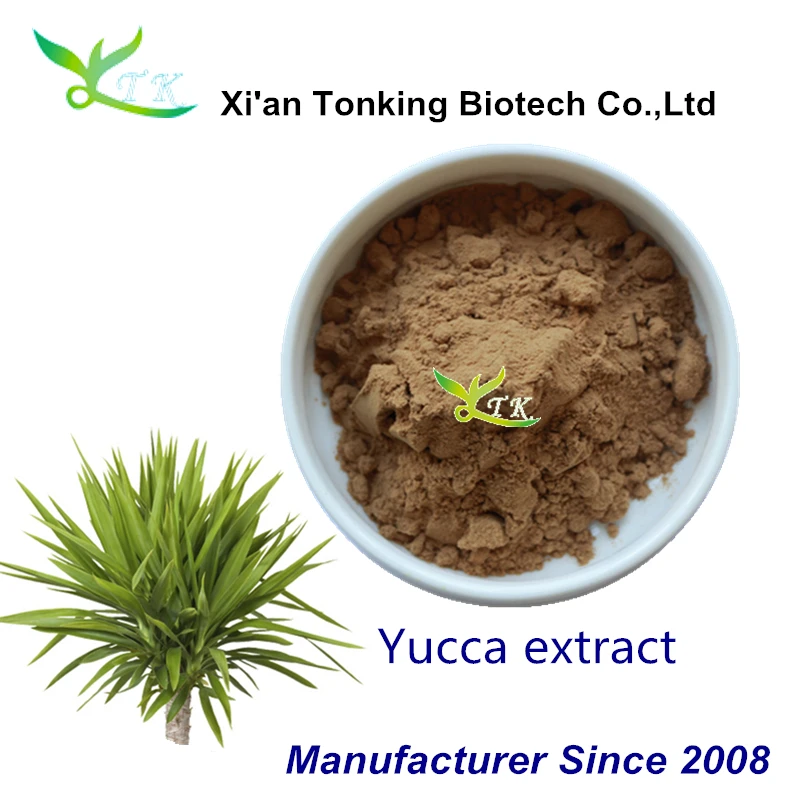 Yucca Schidigera Extract.jpg