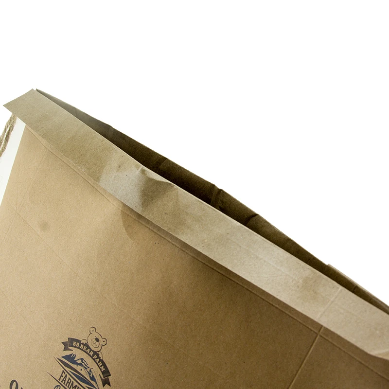 Manufactory Custom Waterproof Drawstring Kraft Paper Rice Bag Buy