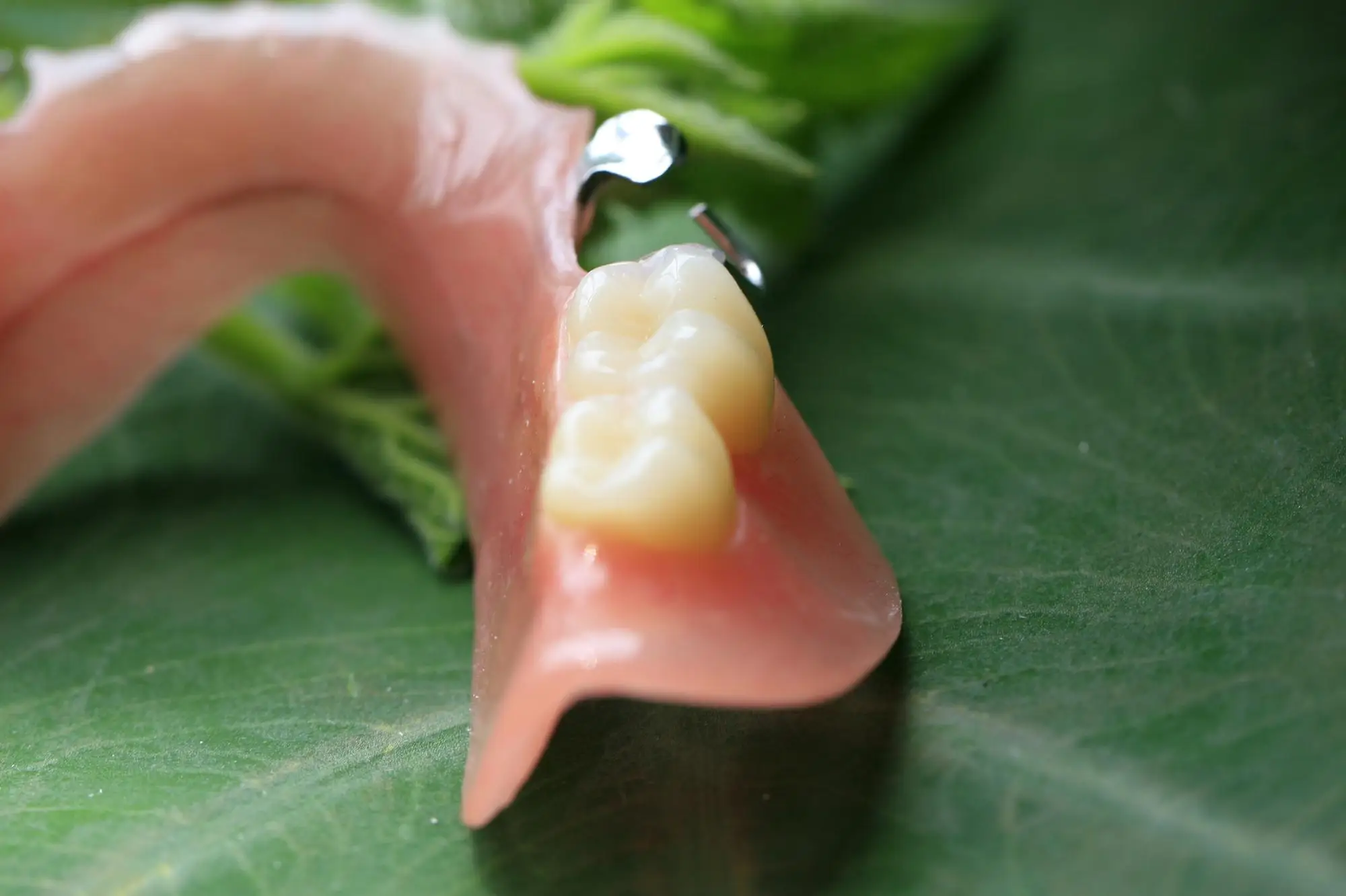 Removable Denture Elastic Material Denture Resin Buy Removable