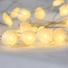 High quality mini led Christmas shell copper wire mini led string light