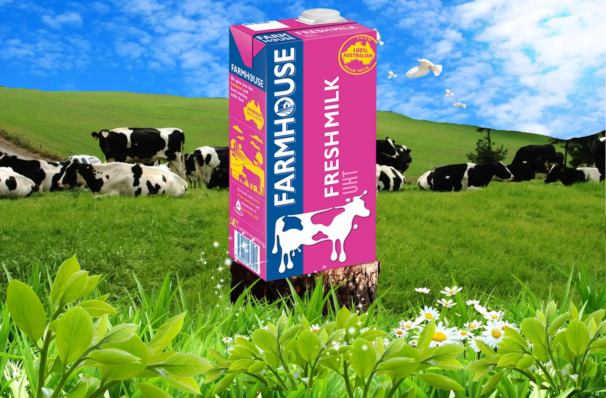 F N Farmhouse Uht Fresh Milk Buy Fresh Milk Uht Milk Milk Product On Alibaba Com