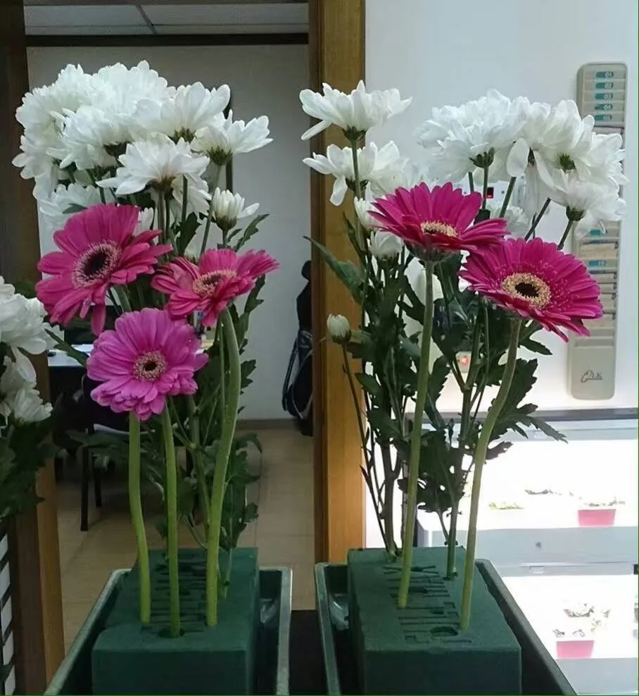 花泡沫砖花安排 - buy 花泡沫,用于花安排的泡沫,绿洲花卉泡沫插花