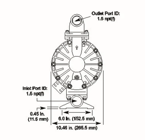 Ang pneumatic diaphragm pump 1.5 inch DP40 stainless steel pump ay nagbebenta ng mga maiinit na detalye