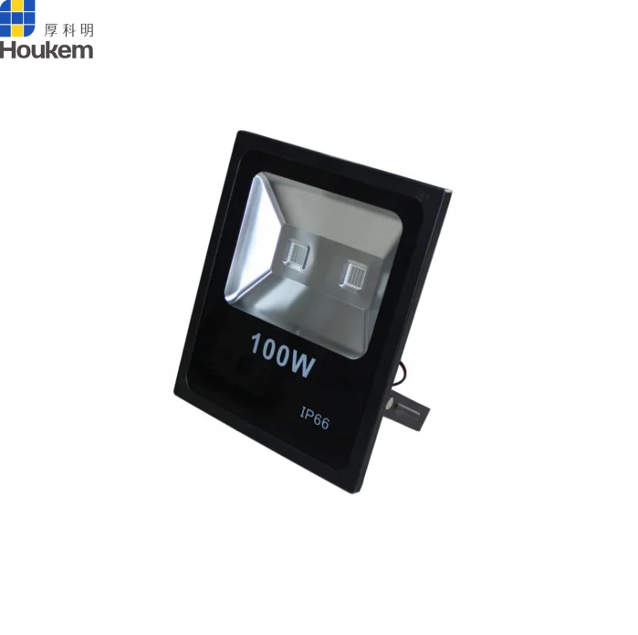 100w light.png