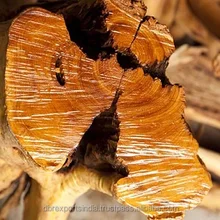 Risultati immagini per legno di sandalo india