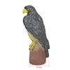HK38-0018 Hunting Bait Eagle Decoy Garden Plastic Falcon Hawk Decoy Animal Model