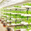 Hydroponics plant PVC pipe & hydroponics nutrient solution