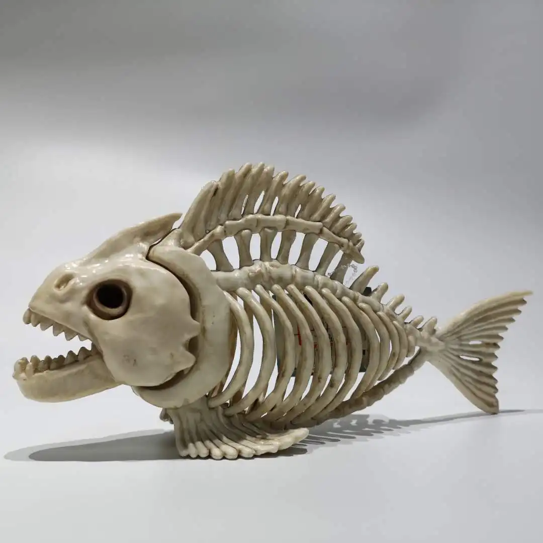 animal skeleton toys