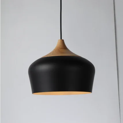 Modern Led Home Depot Lighting Fixtures, Industrial Pendant Light
