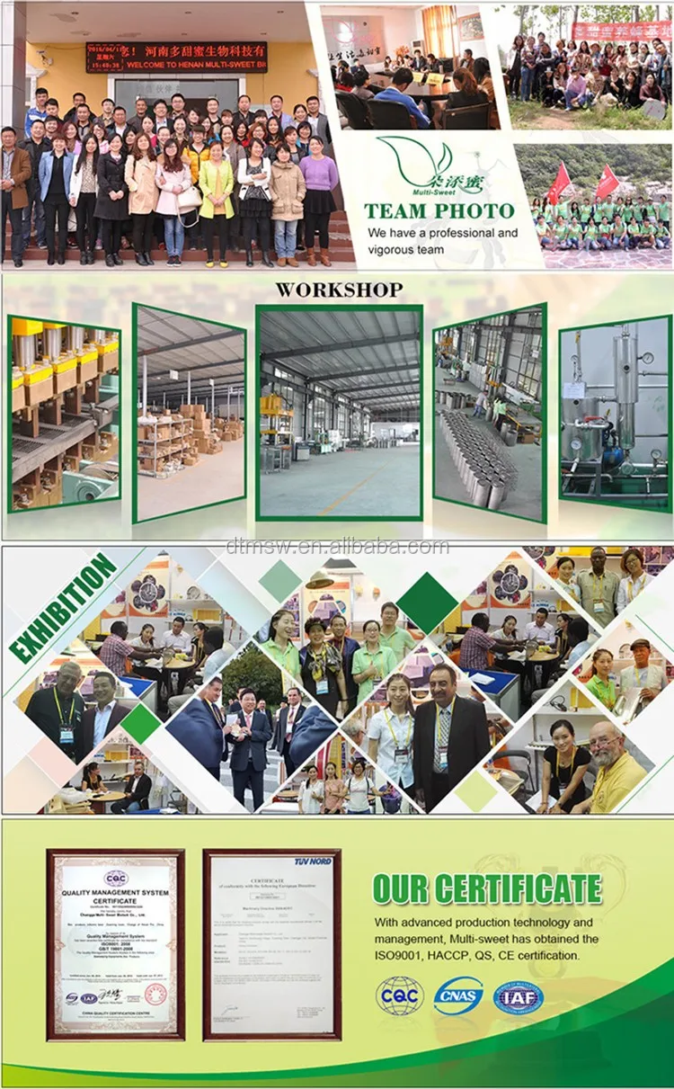 Company information.jpg