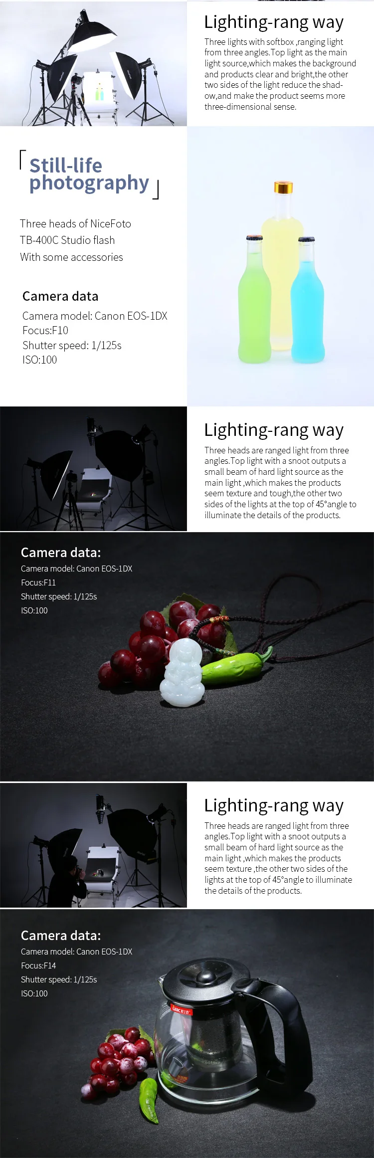 TB-600C NiceFoto Studio Equipment Studio Flash Lighting Strobe flash Camera photo  flash Photographic equipment