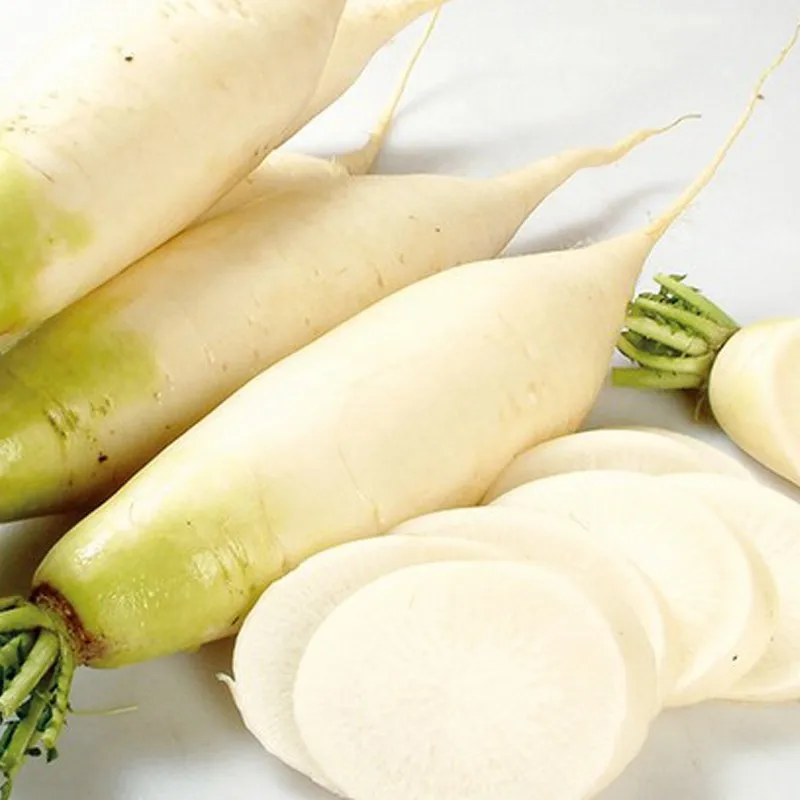S522 Qing Luo Bo High Germination Vegetable Seeds Chinese Turnips Seeds