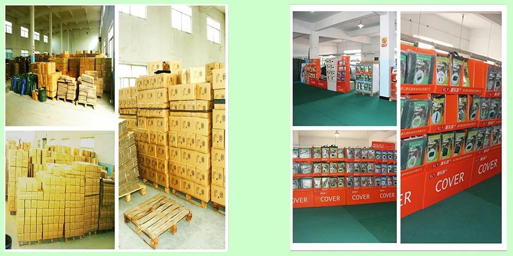 HTB1TEP1LXXXXXb5aXXXq6xXFXXX6 (1).jpg