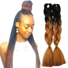 High Temperature Fiber Synthetic Pre Stretched Extension Wholesale 24inch 100g Jumbo Braiding Hair Bulk