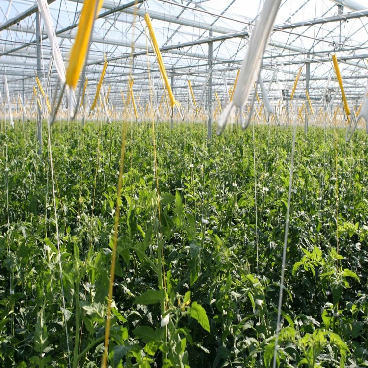 Skyplant Greenhouse Hanging Plant Hooks Tomato Hooks For Sale Buy