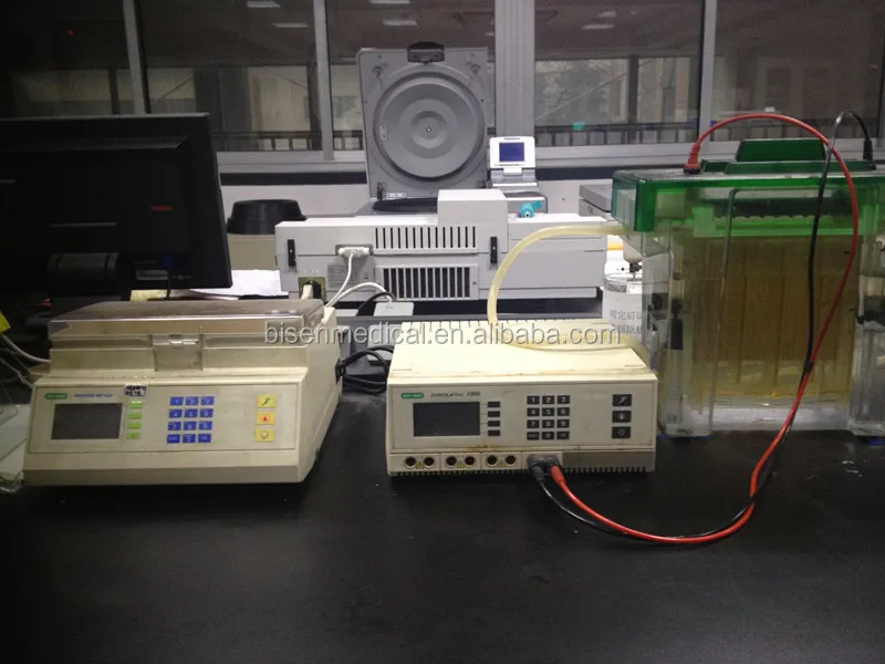 Dna Or Pcr Hemoglobin Electrophoresis Vertical Gel Electrophresis For Western Blotting