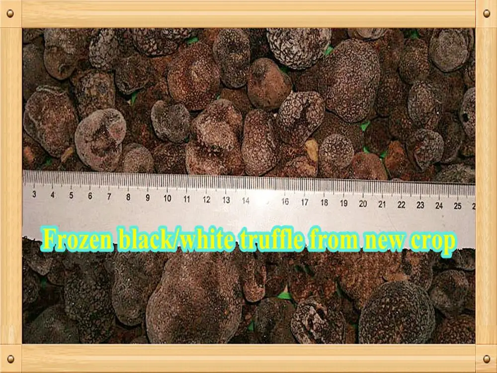 Fresh Truffle Fresh Tuber Indicum Buy Fresh Desert Truffles iqf