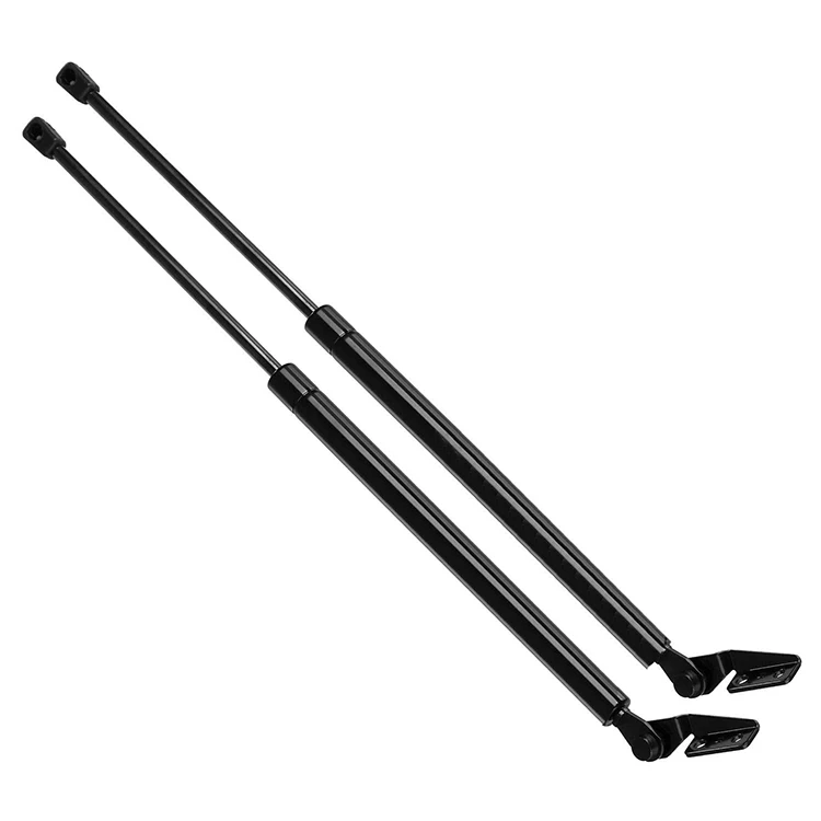 Tailgate Hatch Lift Supports