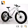 Male and female student variable speed double damping adult cross-country bike