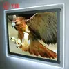 wall mount led hanging acrylic sandwich photo frames