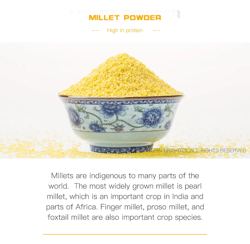Free Sample Millet Sprout Extract Powder Buy Pure Natural Millet Seed