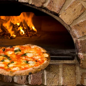 Refractory Mortars Fire Clay For Brick Pizza Oven Buy Fire Clay