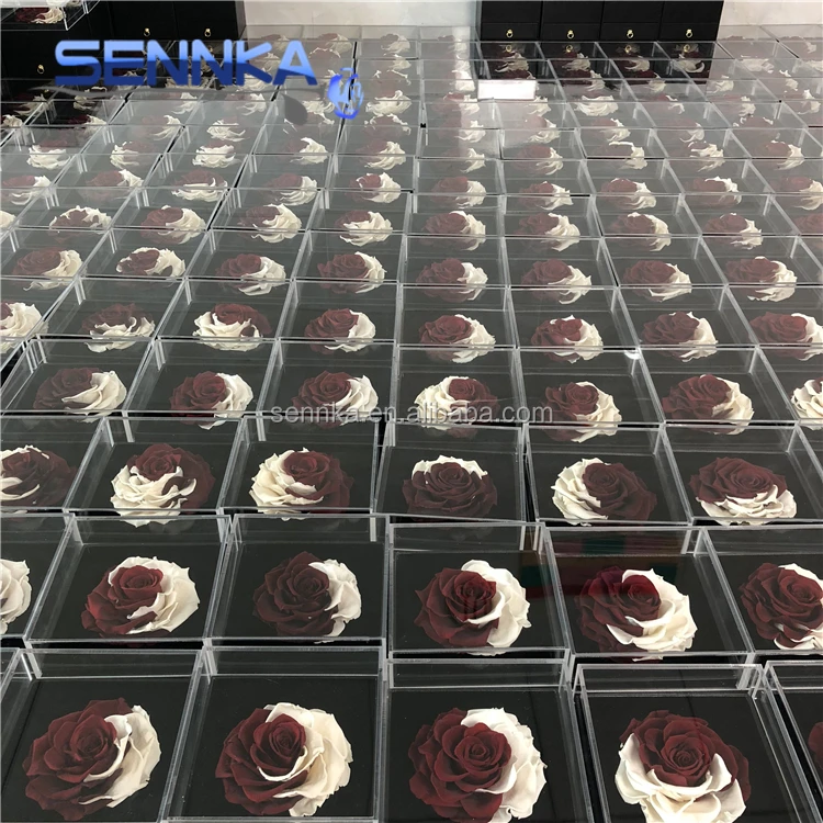 preserved rose 1121 (42)