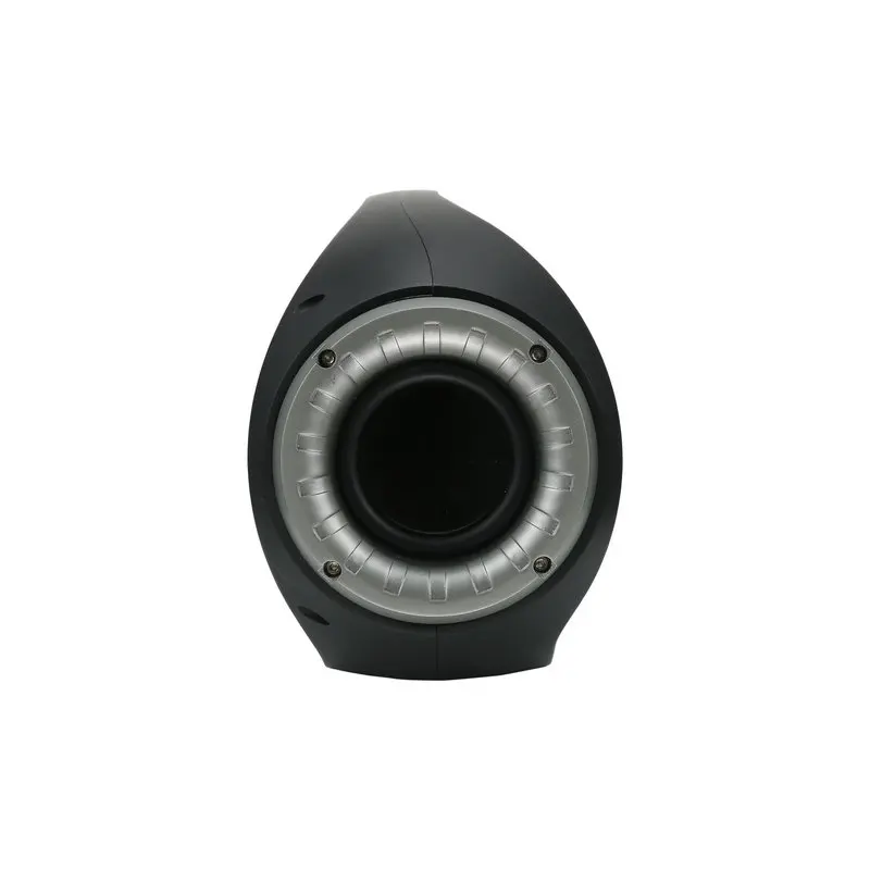 Factory Usb Radio Mp3 Mini Power Bass Subwoofer Amplifiers Portable