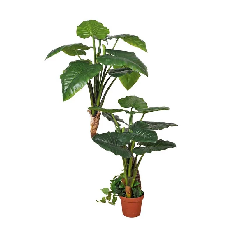 Artificial Water Plants Red Big Leaves Dieffenbachia Plant Tree With Pot Buy Dieffenbachia Plant Tree With Pot Red Big Leaves Artificial Water Plants Red Big Leaves Dieffenbachia Plant Tree With Pot Product On