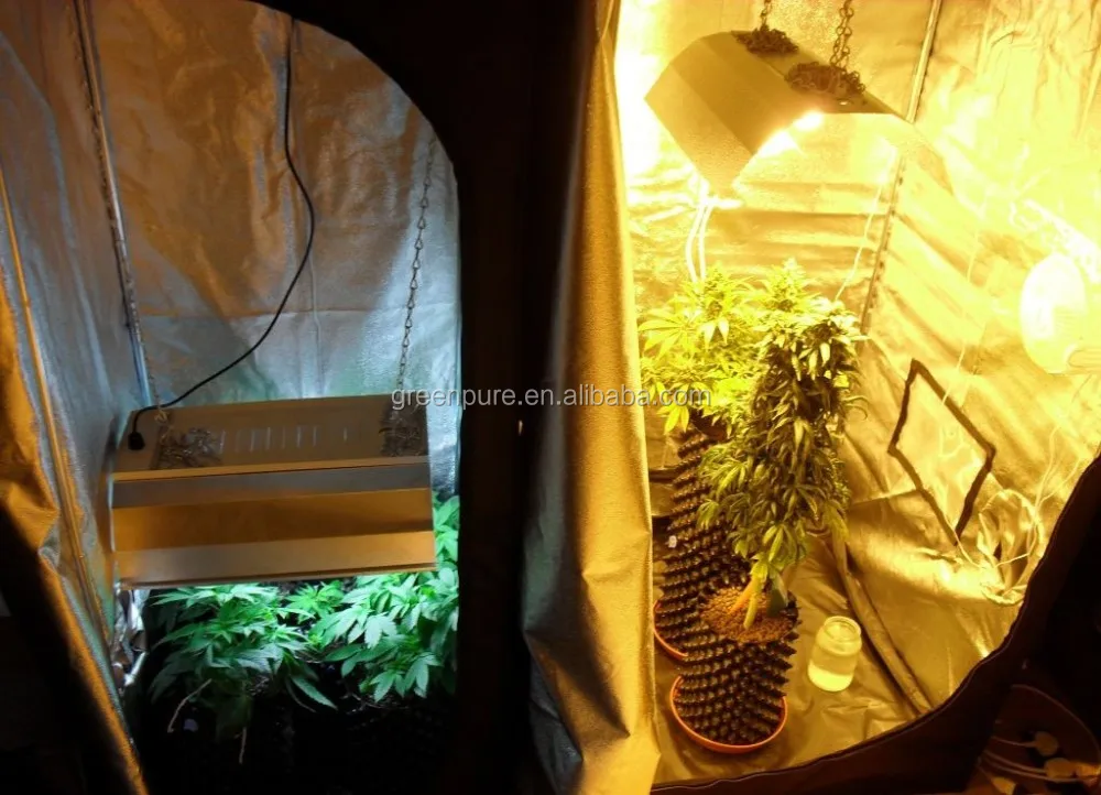 Indoor Grow Tent Kit Grow Tent Complete Hydroponic Grow Tent48"x48"x78