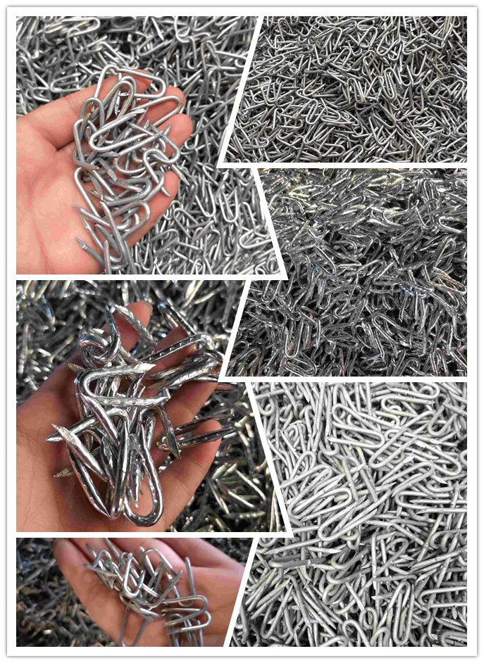 Galvanized U Nail Buy U Nail,U Type Nails,Fence Staples Product on