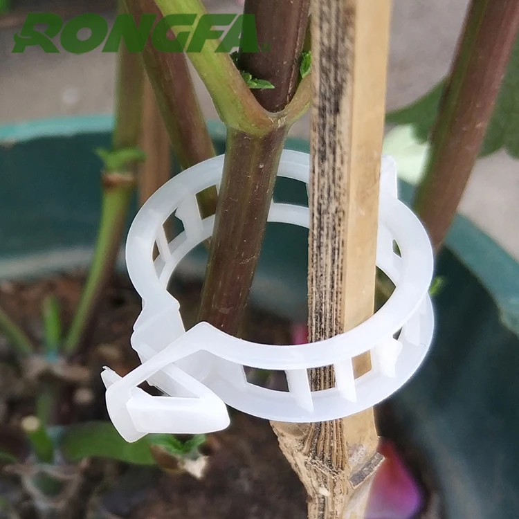 Plastic Tomato Clip For Agriculture Garden Plant Use - Buy Small ...