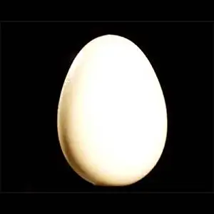 Wooden Egg by Uday - Trick