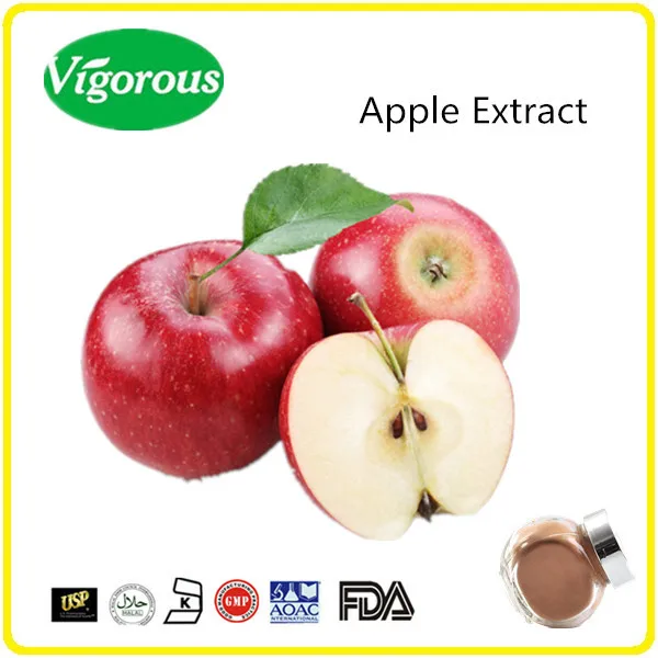 75polyphenols Apple Fruit Extract Powder Buy Apple Extract,Apple