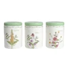 Kitchen Food Grade green botanical porcelain storage canister set