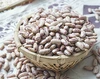 Chinese long shape Light Speckled Kidney Beans/Sugar beans/pinto beans/ LSKB