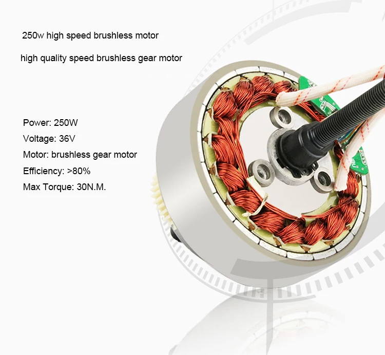 All In One Electric Bike Motor With 36v 250w Ebike Geared Spoke Hub