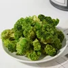 Halal dried green broccoli with competitive price vf vacuum fried broccoli