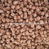 WPC granules making machine, waste plastic recycled machinery
