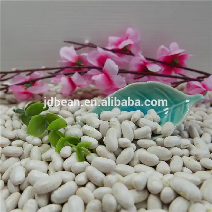 White Kidney Beans / Butter Bean / White Bean Buy White Kidney Beans