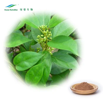 dosis de diabetes gymnema sylvestre dosis de diabetes gymnema sylvestre