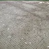 large sequins color changing sequins fabric